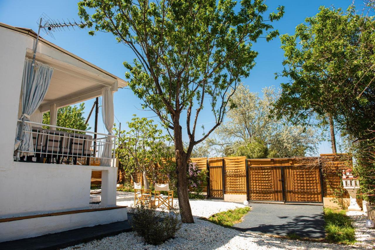 Grand Seaview Retreat - Walk To The